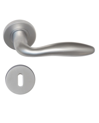 Poignée de porte Harmonie + Rosace à clé EUROWALE