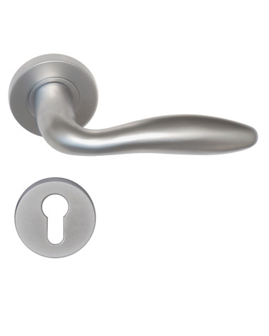 Poignée de porte Harmonie + Rosace cylindre EUROWALE