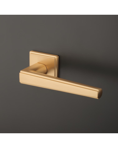 Poignée de porte contemporaine SYRINGA poignée design sur un fond