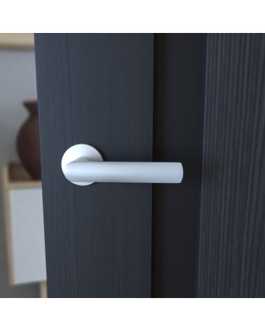 Poignée de porte chrome satiné TORINO poignée design vue de face