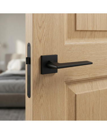 Poignée de porte en zamak ARA