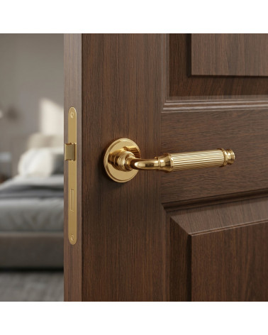 Poignée de porte couleur or poli NIGELLA