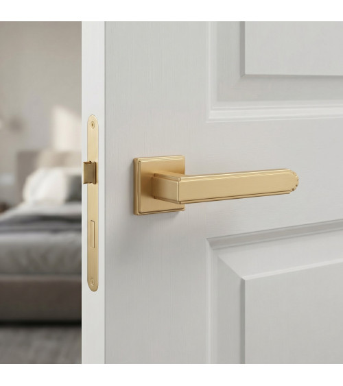 Poignée de porte contemporaine MIMOSA poignée design