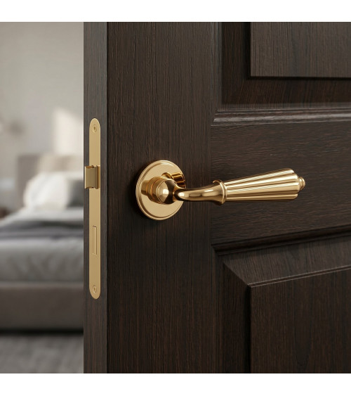 Poignée de porte or poli LIMONA poignée design