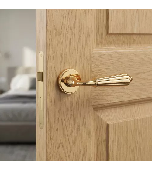 Poignée de porte zamak LIMONA poignée design