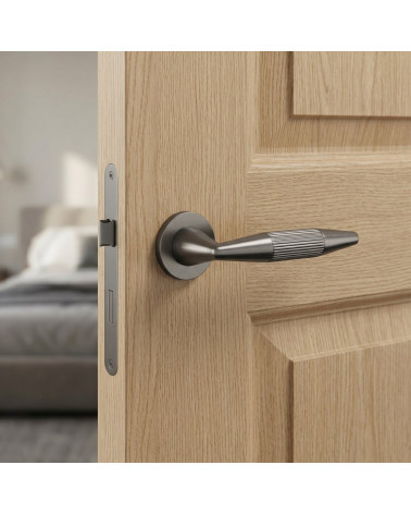 Poignée de porte graphite IDESA