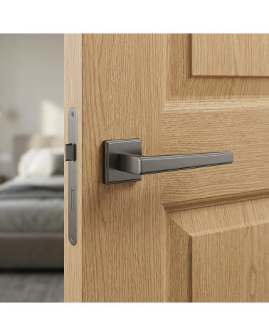 Poignée de porte graphite SYRINGA