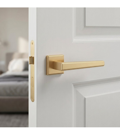 Poignée de porte or mat SYRINGA poignée design