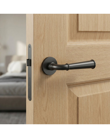 Poignée de porte finition anthracite IBRA
