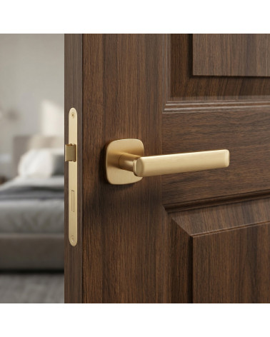 Poignée de porte couleur or satiné FORMA