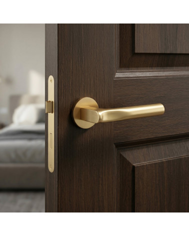 Poignée de porte finition or satiné TACTUS