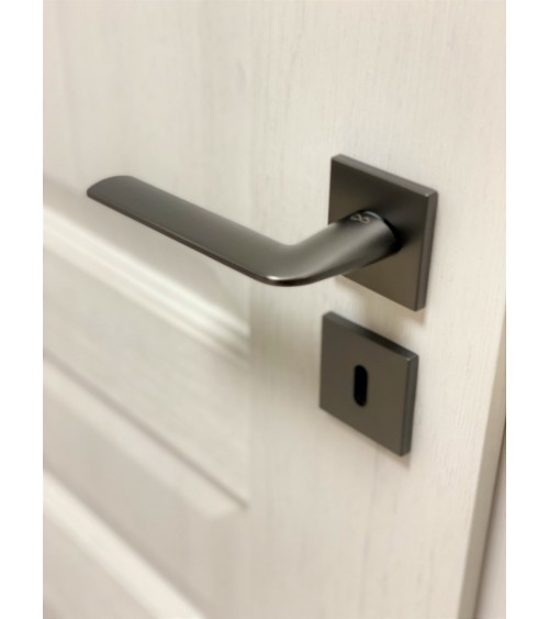 Poignée de porte titane STINGER poignée design