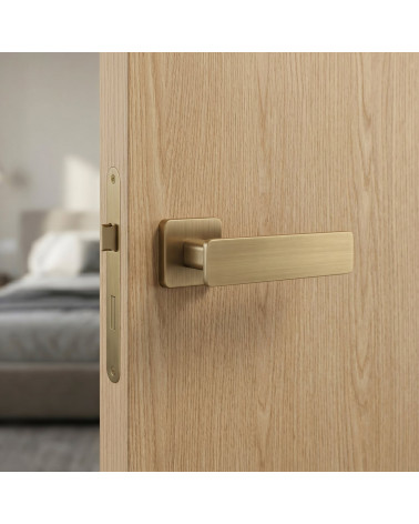 Poignée de porte finition Patine antique mat NOEMIA