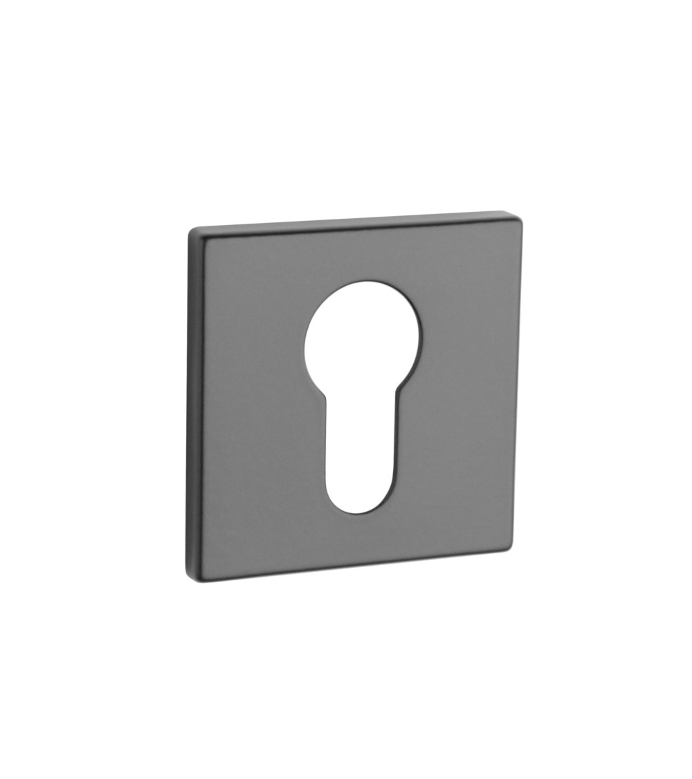 Rosace de porte AP Q 5S PZ -  poignée design