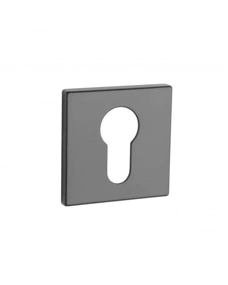 Rosace de porte AP Q 5S PZ -  poignée design
