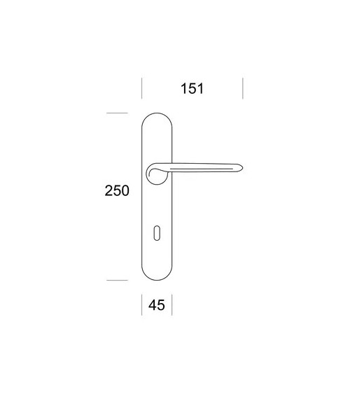Poignée de porte chrome satiné Ento Elan poignée design