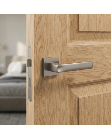 Poignée de porte titane LIMA