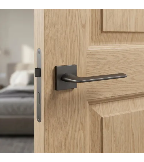 Poignée de porte titane STINGER poignée design