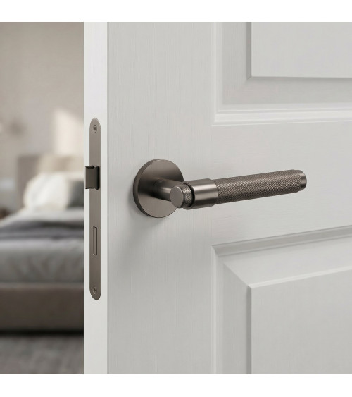 Poignée de porte titane GOYA poignée design