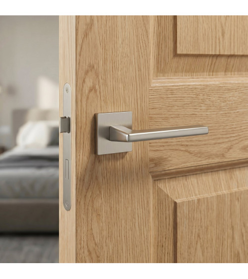 Poignée de porte nickel brossé ARTA poignée design