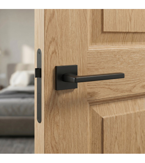 Poignée de porte PYROLA quincaillerie design couleur 5