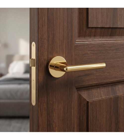 Poignée de porte classique KALMIA poignée design couleur 2