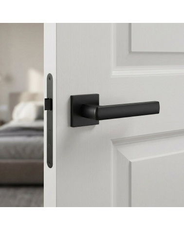 Poignées de porte graphite HOSTA