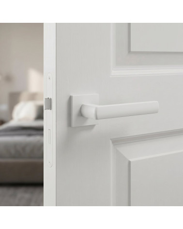 Poignées de porte graphite HOSTA