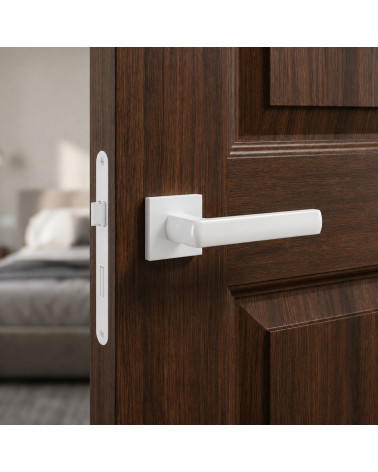 Poignées de porte graphite HOSTA
