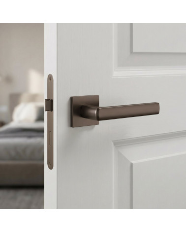 Poignées de porte graphite HOSTA