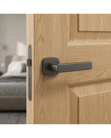 Poignée de porte en Zamak - Modèle IXIA