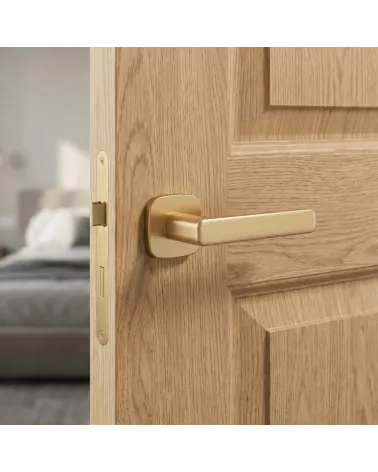 Poignée de Porte Or Mat - Modèle IXIA