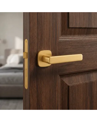 Poignée de Porte couleur Or Poli - Modèle APRIL IXIA
