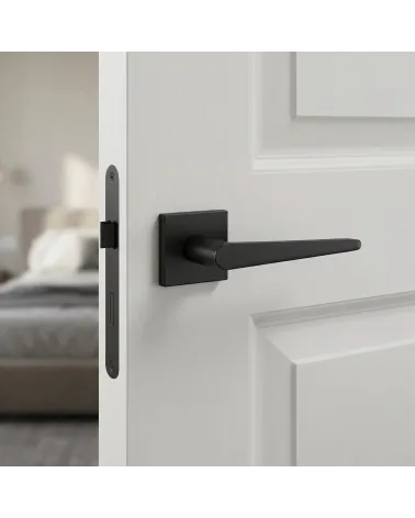 Poignée de Porte Classique abordable - Modèle ARNICA