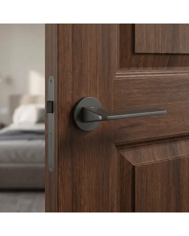 Poignée de Porte Anthracite sur rosace Ronde - Modèle VAVA