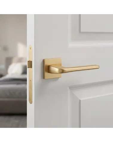 La poignée de porte en solo de couleur or mat