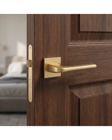 La poignée de porte en solo de couleur or mat