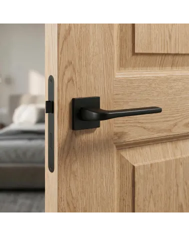 La poignée de porte en solo de couleur noire