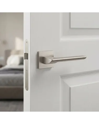 Poignée de porte nickel satiné - Modèle BIRA