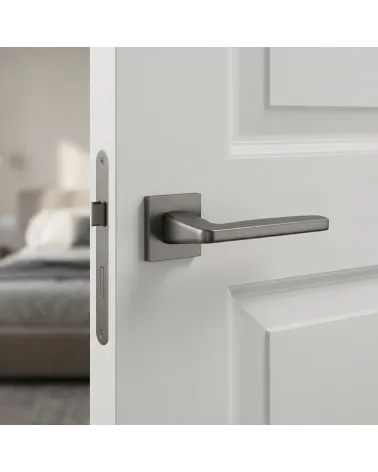Poignées de porte graphite ERBA