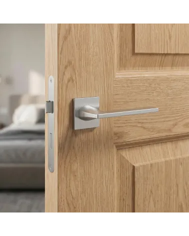 Poignées de porte chrome satiné Harmony