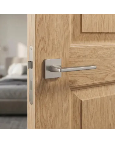 Poignée de porte nickel brossé EURA