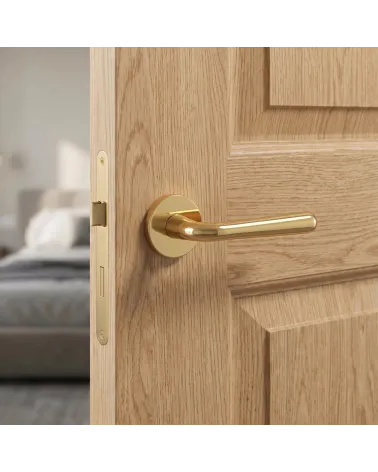 Poignée de Porte Rétro pour un design vintage - Modèle IRGA