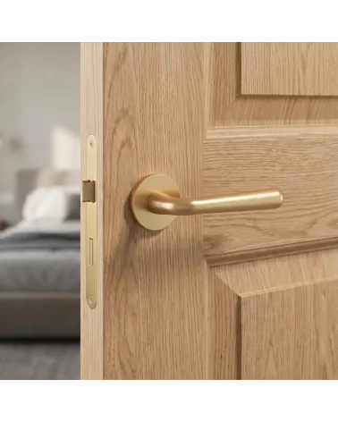 Poignée de Porte Or Satiné pour une ambiance raffinée - Modèle IRGA