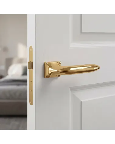 Poignée de Porte Or Poli Chic et Brillante - Modèle GLADIOLA