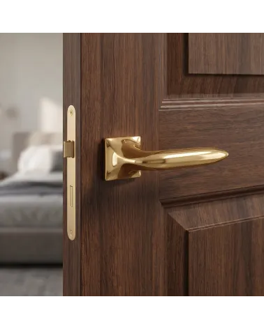 Poignée de Porte Or Poli Chic et Brillante - Modèle GLADIOLA