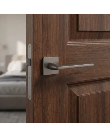 Poignée de Porte Anthracite pour une déco raffinée - Modèle SALVIA