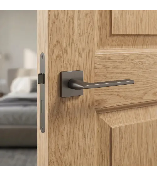 Poignée de porte anthracite SALVIA poignée design