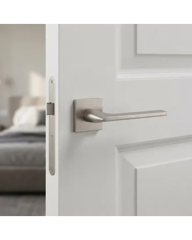 Poignée de Porte Nickel Brossé pour une déco sophistiquée - SALVIA