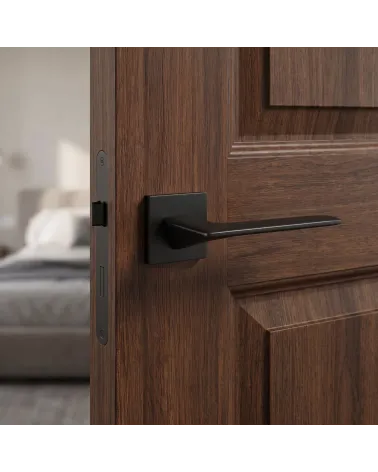 Poignée de Porte Noire Sobre et Raffinée - Modèle Line GIULIA